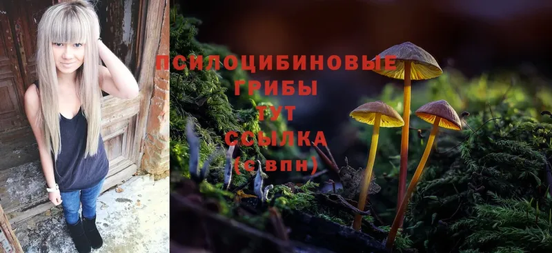 Псилоцибиновые грибы Magic Shrooms  цены   Чита 